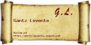 Gantz Levente névjegykártya
